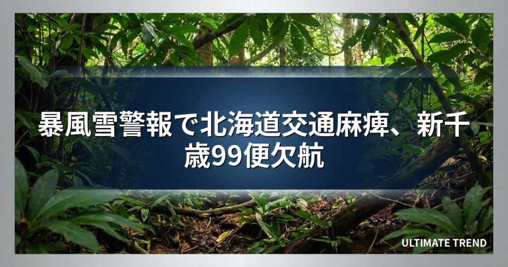 暴風雪警報で北海道交通麻痺、新千歳99便欠航